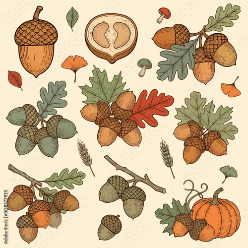 A charming collection of autumn elements, featuring acorns on branches, oak leaves, ginkgo leaves, wheat stalks, mushrooms, and a pumpkin, all rendered in a ...