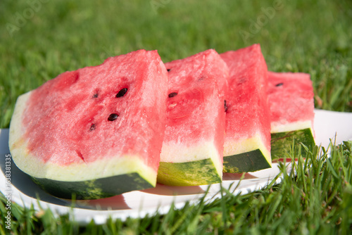 Close-up of sliced fresh ​​watermelon outdoors on a sunny summer day.  Selective focus of a sliced fruit on sunshine and green grass. Healthy snack on a picnic. Portion of watermelon on a white plate
