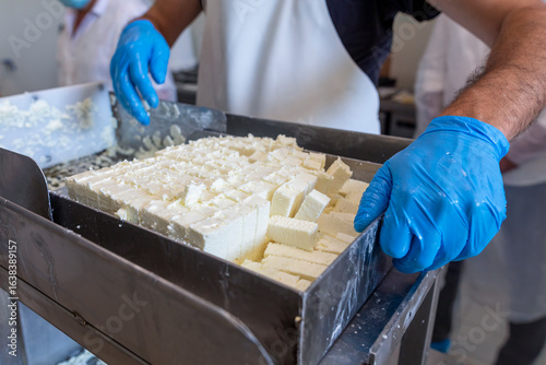 White cheese production in modern dairy plant.