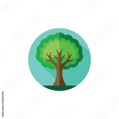 elm tree flat vector illustration