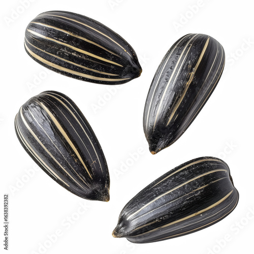 Wallpaper Mural Black striped sunflower seeds isolated on transparent background Torontodigital.ca