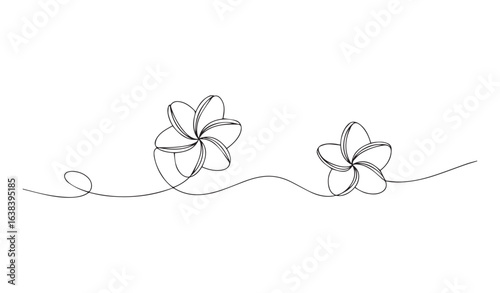 Minimalist line drawing of two plumeria flowers floral nature