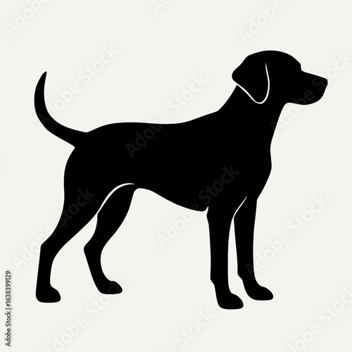 Design a black silhouette of a Pointer Mix white background clean vector shape