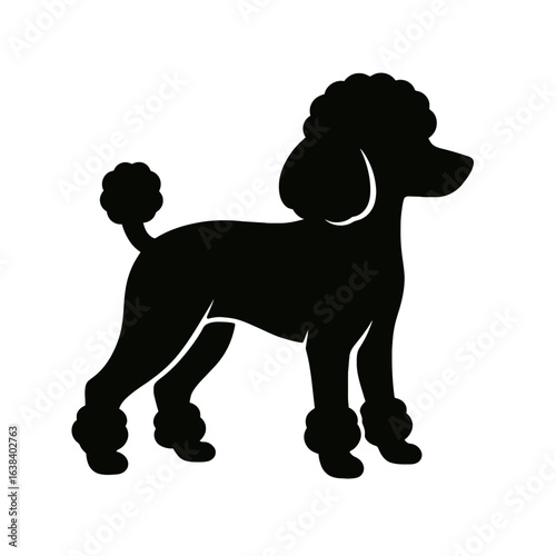 Design a black silhouette of a Teacup Poodle white background clean vector shape