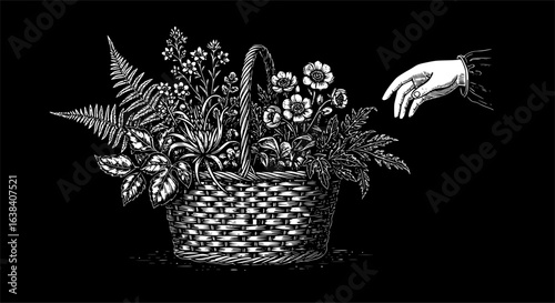 Vintage engraving of basket with plants and outstretched hand illustration
