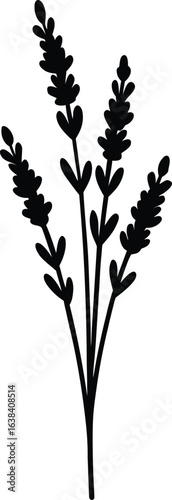 Delicate vintage lavender sprig silhouette isolated on transparent background