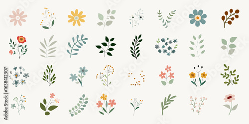 Collection of delicate hand drawn floral and botanical illustrations