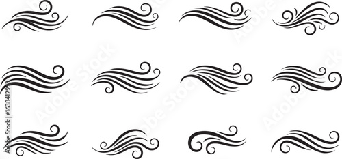 Collection of elegant black decorative flourishes and swirls
