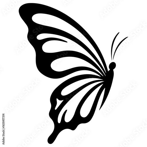 Watch as these graceful butterflies transform with your vibrant colors, creating a truly magical display.