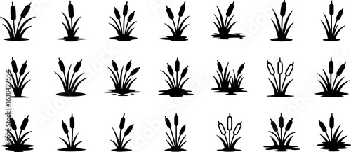 Cattail icon vector set. reeds illustration sign collection. swamp symbol. grass logo.
