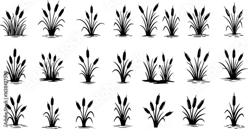 Cattail icon vector set. reeds illustration sign collection. swamp symbol. grass logo.
