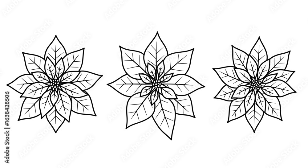 Obraz premium Outline Set 3 Icons of Poinsettia Flowers in Black on White 