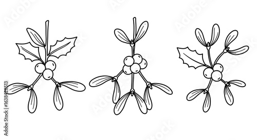 Outline set of three mistletoe icons in black on white background  