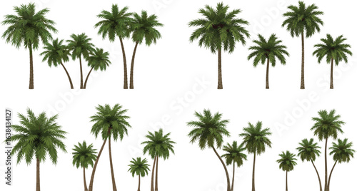 Palm tree group vector set, tropical green foliage, realistic nature illustration, summer island plants, exotic tree cluster.