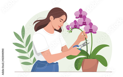 Flat vector illustration of a young woman pruning a blooming purple orchid plant at home.