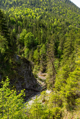 View into the gorge of the Archbach near the Stuiben waterfalls on a beautiful summer day, Reutte, Tyrol, Austria