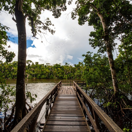 Scenic wooden pier in the amazon rainforest, with lush vegetation and calm waters
