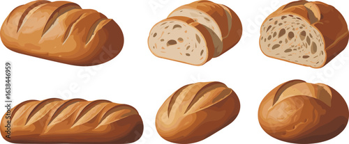 Bread variety illustration, rustic loaf artwork, sliced bread clipart, bakery product design, artisan crust texture, food drawing, culinary element