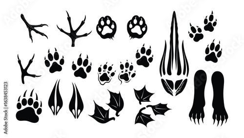 Animal Tracks Pattern: A collection of animal tracks showcases the beauty of animal tracks with detail that brings the wildlife's traces to life, each telling a unique tale.