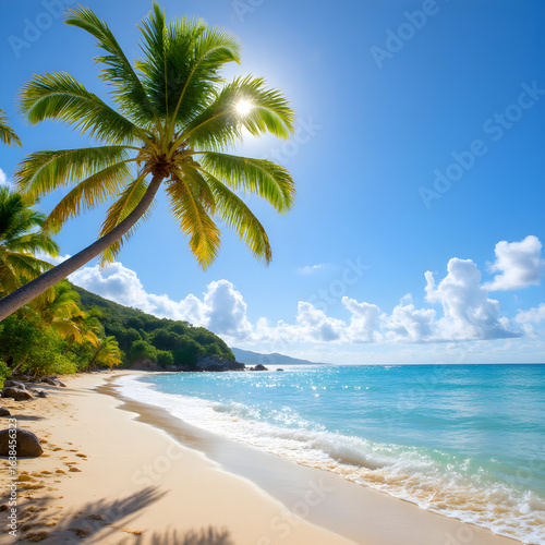 Sonnige Palmenbucht mit türkisfarbenem Meer - Sommer Wallpaper - Hintergrundbild