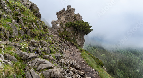 Narrow rocky mountain trail along steep cliff with distinctive rock formation and pine tree in dense fog, overlooking forested valley. Scenic and dramatic hiking route in the Tatra Mountains, Poland.