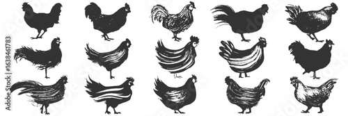 Silhouette illustrations of various chickens and roosters in different poses and styles, conveying a dynamic and rustic texture against a white background.