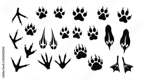 Animal Tracks: A striking monochrome collection of diverse animal tracks, each a testament to nature's intricate design. Featuring footprints from various species.