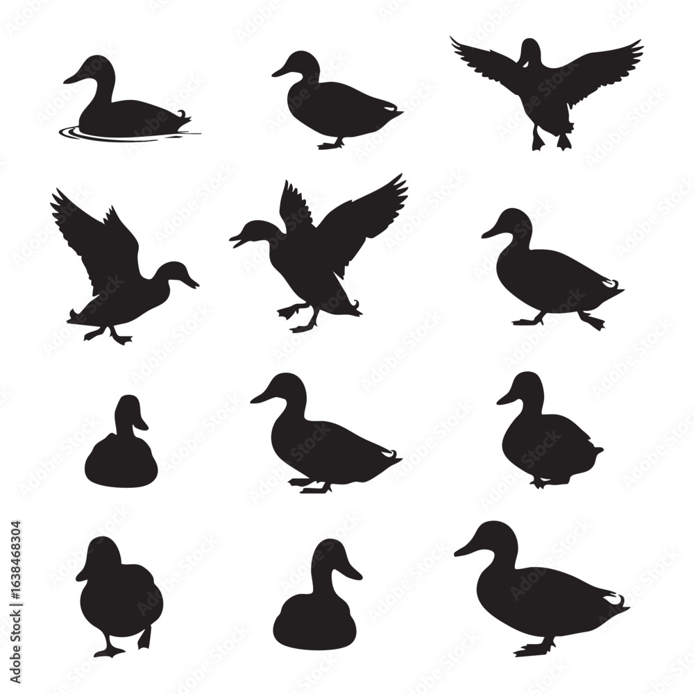 Obraz premium Collection of duck silhouettes isolated on white background