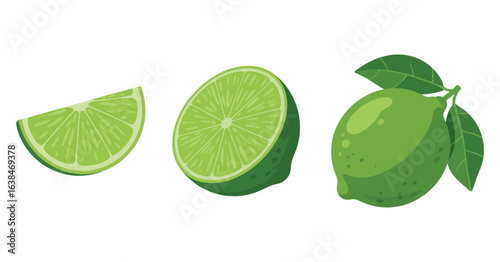 Fresh Green Lime Fruit Slices and Whole with Leaves for Culinary and Beverage Illustrations Design Elements