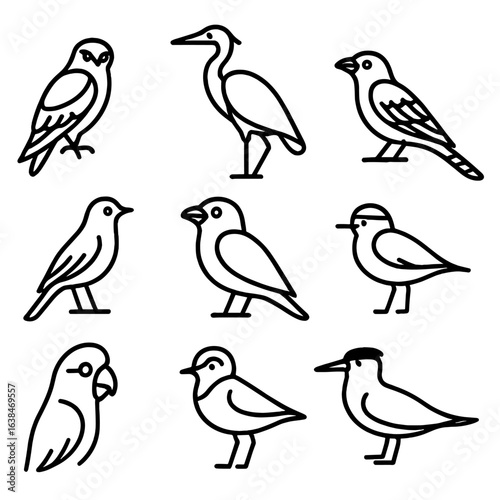 Wallpaper Mural Australian Bird Icons. Line style icons of Australian birds: black-shouldered kite, pacific heron, pacific koel, little grassbird, Torontodigital.ca