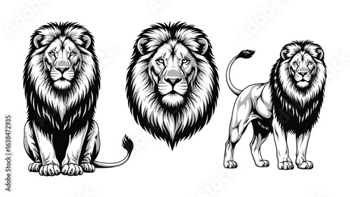 Monochrome Lion's Majesty: An artful monochrome illustration showcases a lion in its regal glory, highlighting intricate details and embodying the raw power and strength of the king of the jungle.