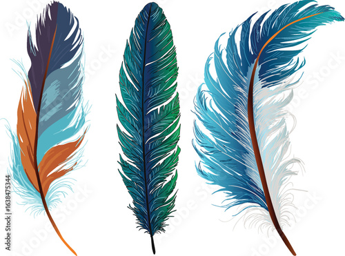 three green colored feathers isolated on white