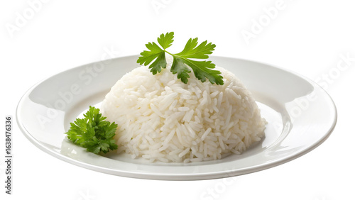 Perfect Plate of White Rice: A Culinary Close-Up