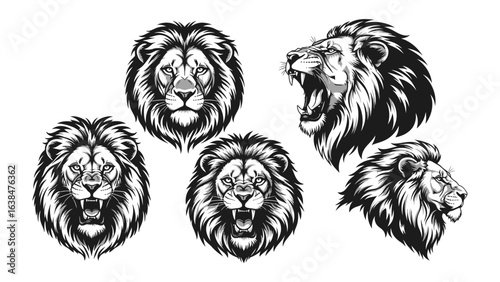 Majestic Lion Portraits: A collection of exquisitely detailed illustrations captures the noble presence of a lion, showcasing its powerful mane and fierce gaze in various poses.