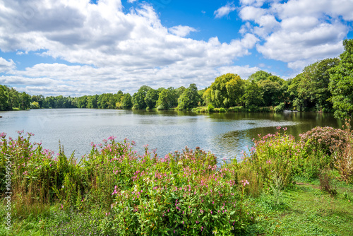 Fototapeta Naklejka Na Ścianę i Meble -  Serene lake with blooming flowers near historic Tudor-era Lullingstone Castle gardens on a sunny summer day