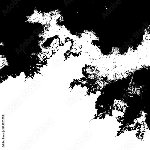 Abstract black and white fractal design with swirling patterns creating a unique visual effect image