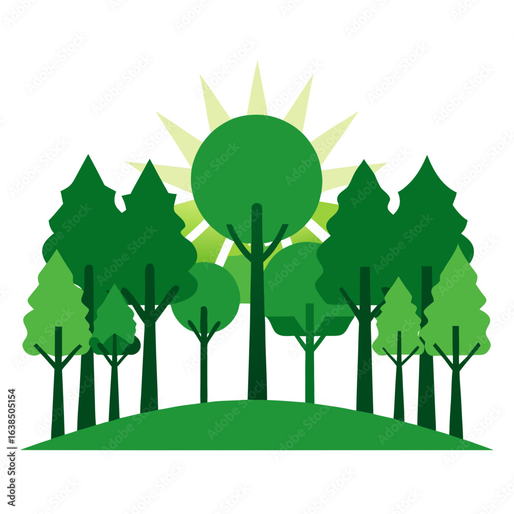 Obraz premium green trees in the forest