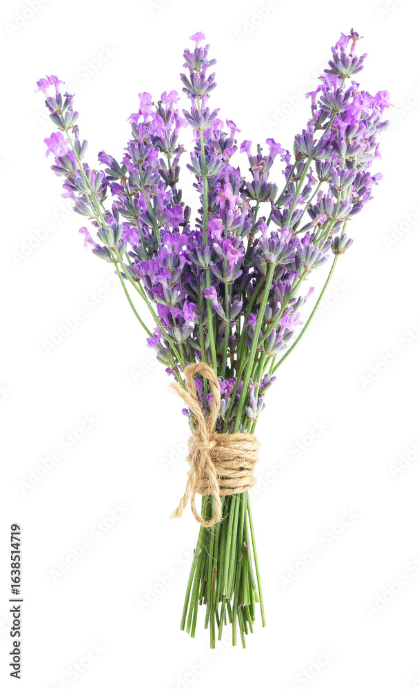 Naklejka premium Bundle of beautiful lavender flowers isolated on white