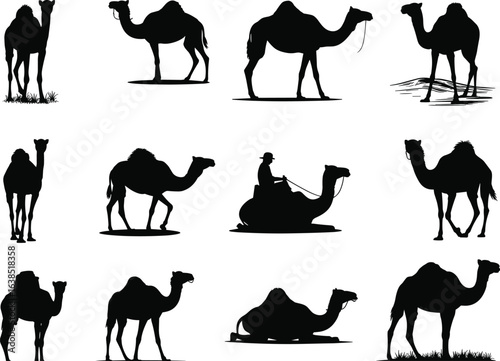 Camel silhouette collection, desert animal poses, walking, sitting, lying down, rider on camel, black vector illustration, hump details, reins, cultural design, isolated background.
