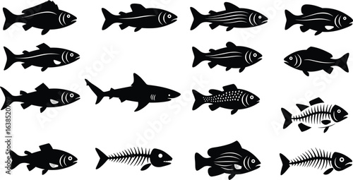 Fish vector icon set, silhouette of sea creatures for design and print, isolated on white background with various species and styles, black and white flat illustration.
