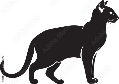 Elegant black cat standing profile silhouette
