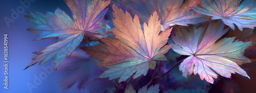 Autumn Maples Leaves Closeup with Soft, Shallow Focus and Moody, Iridescent Colors