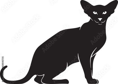 Elegant oriental shorthair cat silhouette