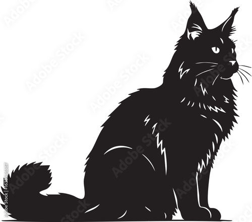 Majestic maine coon cat sitting in profile silhouette