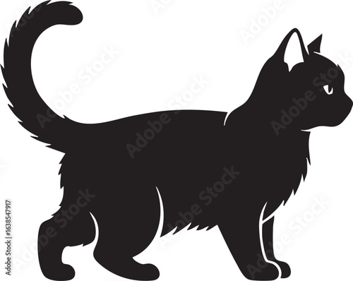 Black cat walking with tail up silhouette