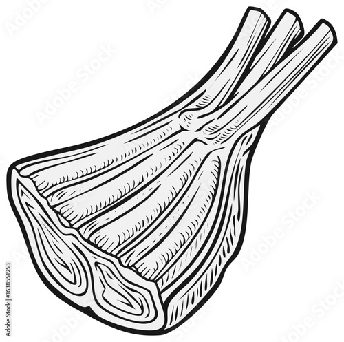 Graphic Illustration of a Raw Celery Stalk Showing the Grain and Fibers in Detail