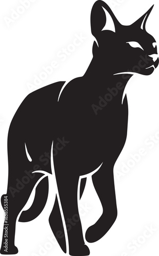 Elegant oriental shorthair cat silhouette
