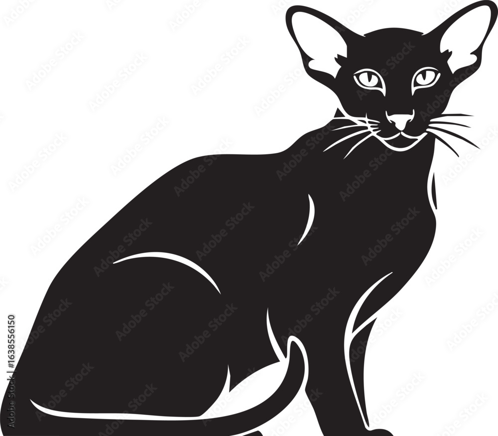 Obraz premium Elegant black siamese cat silhouette sitting attentively silhouette