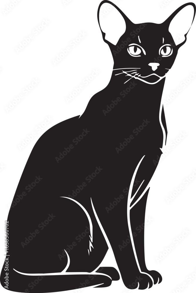 Obraz premium Elegant oriental shorthair cat sitting silhouette