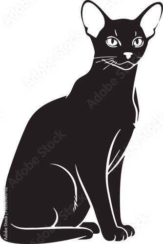 Elegant oriental shorthair cat sitting silhouette